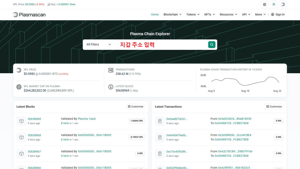 플라즈마스캔
