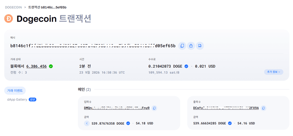 도지코인 블록 탐색기에서 TXID와 컨펌 수를 확인하는 실제 화면